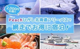 公式 ピーチ Peach Aviation 公式 ピーチ Peach Aviation