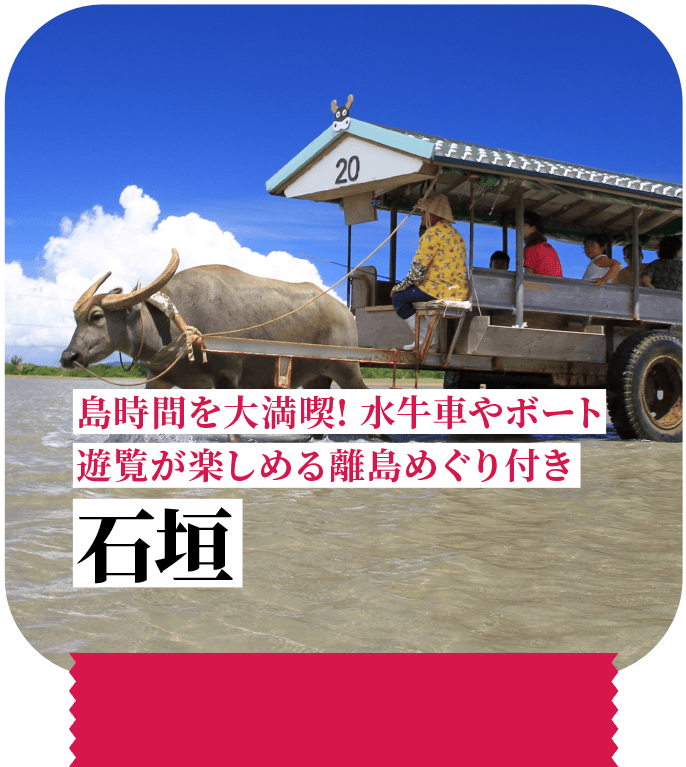 島時間を大満喫！水牛車やボート遊覧が楽しめる離島めぐり付き 石垣