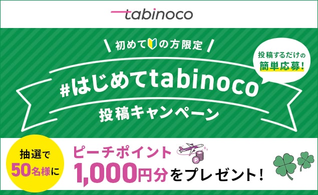 公式 ピーチ Peach Aviation