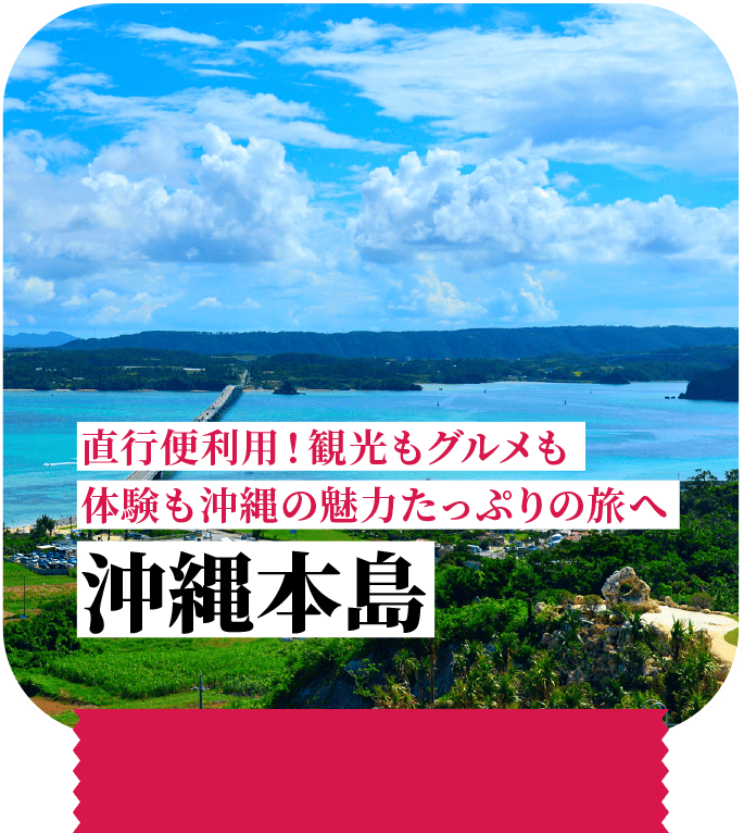直行便利用！観光もグルメも体験も沖縄の魅力たっぷりの旅へ 沖縄本島