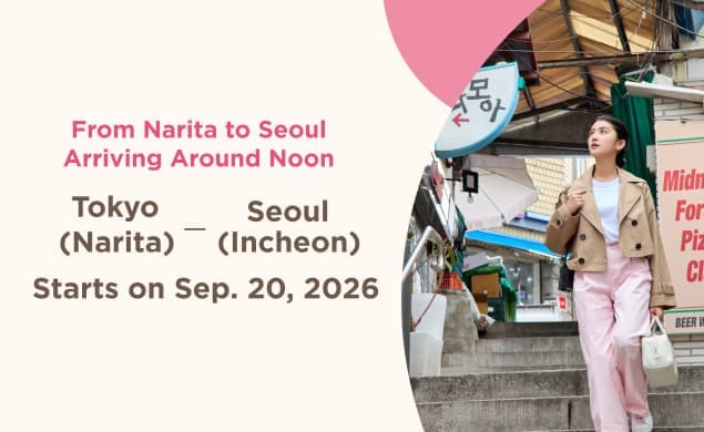 From Narita to Seoul Arriving Around Noon