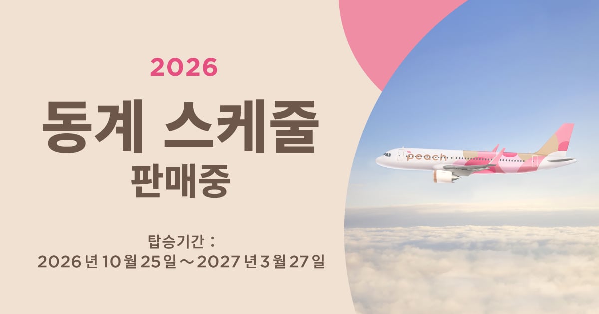 2026 동계 스케줄