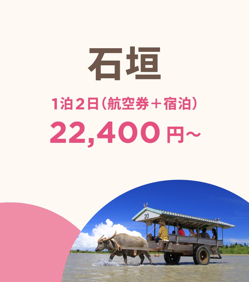ピーチリクエストページ Peach TRAVEL ピーチ トラベル | Peach Aviation株式会社