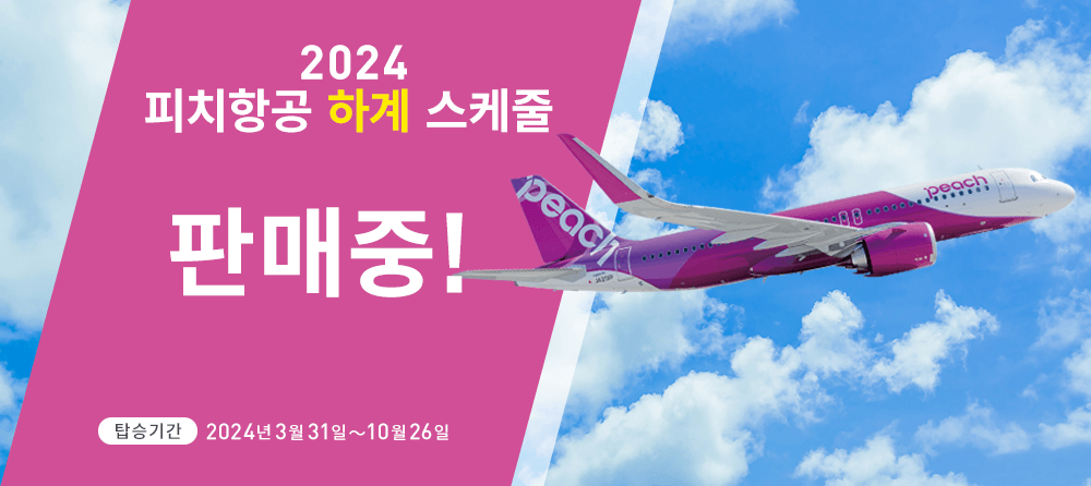 2024 하계 스케줄