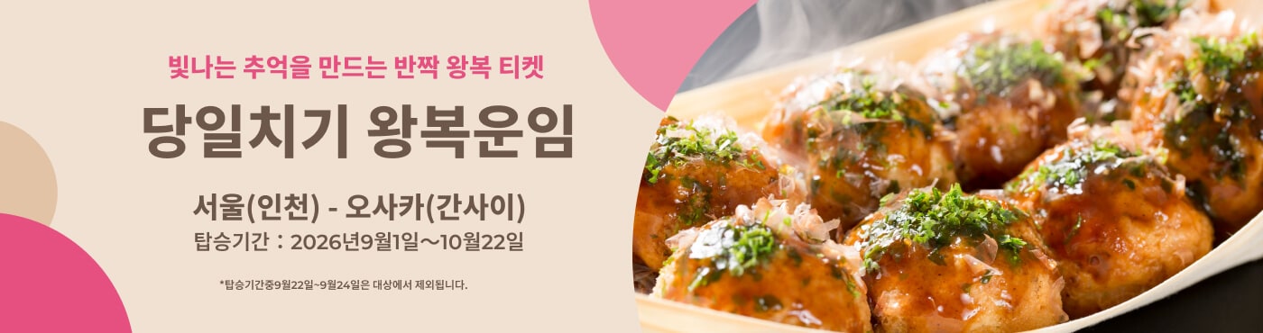 당일치기 왕복 운임