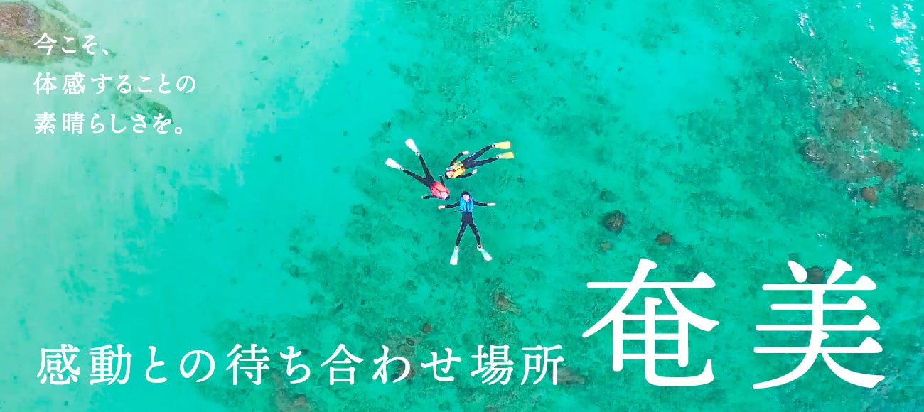 今こそ、体感することの素晴らしさを。 in AMAMI