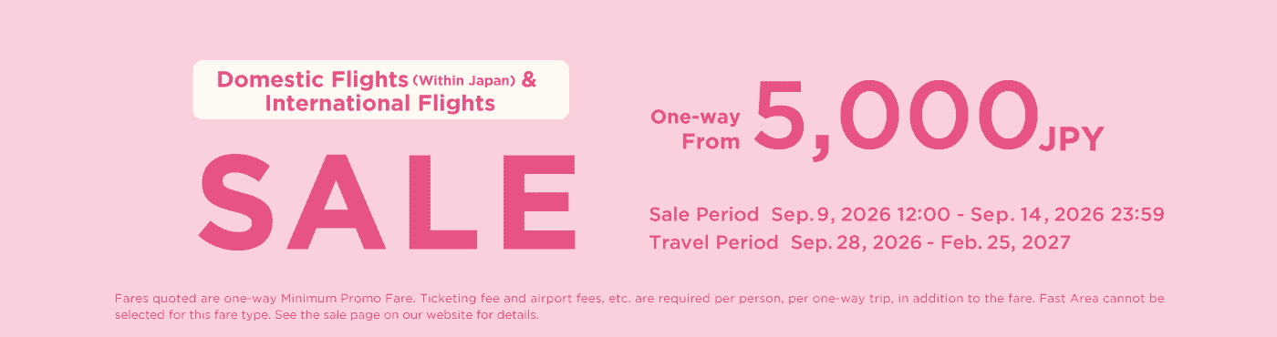 Domestic & International Flights Sale