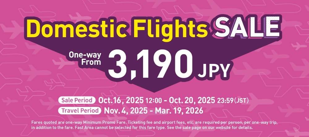 Domestic Flights Sale