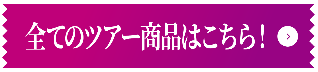 全てのツアー商品はこちら！
