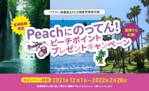 公式 ピーチ Peach Aviation 公式 ピーチ Peach Aviation