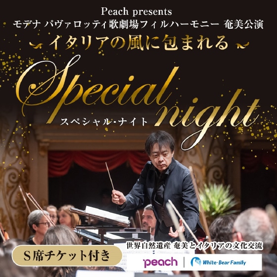 演奏の様子
