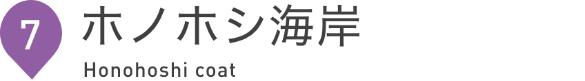 ホノホシ海岸