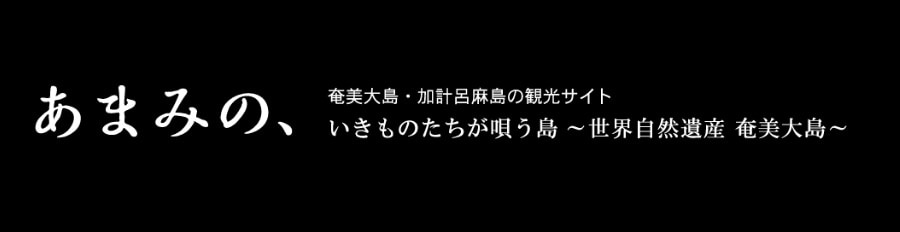あまみの、