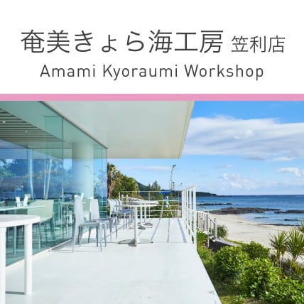 奄美きょら海工房笠利店
