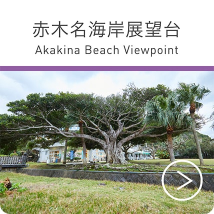 赤木名海岸展望台