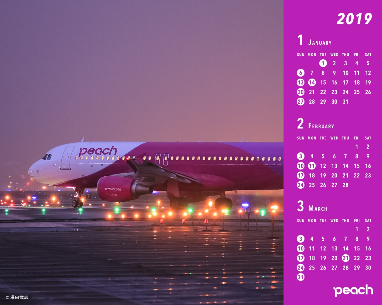 19年オリジナルデジタルカレンダー Peach Aviation
