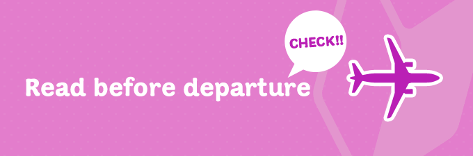 Check-in, baggage and airport access