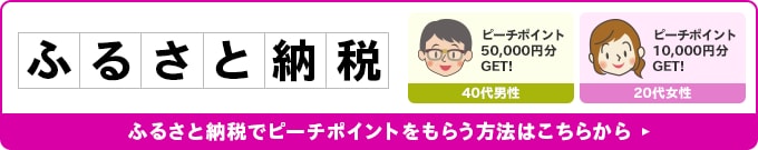 ふるさと納税
