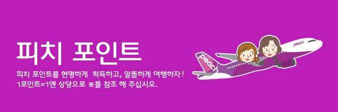 피치 포인트